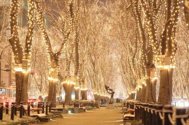 2025 SENDAI光のページェント