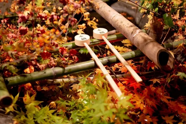 日枝宵灯もみじ祭