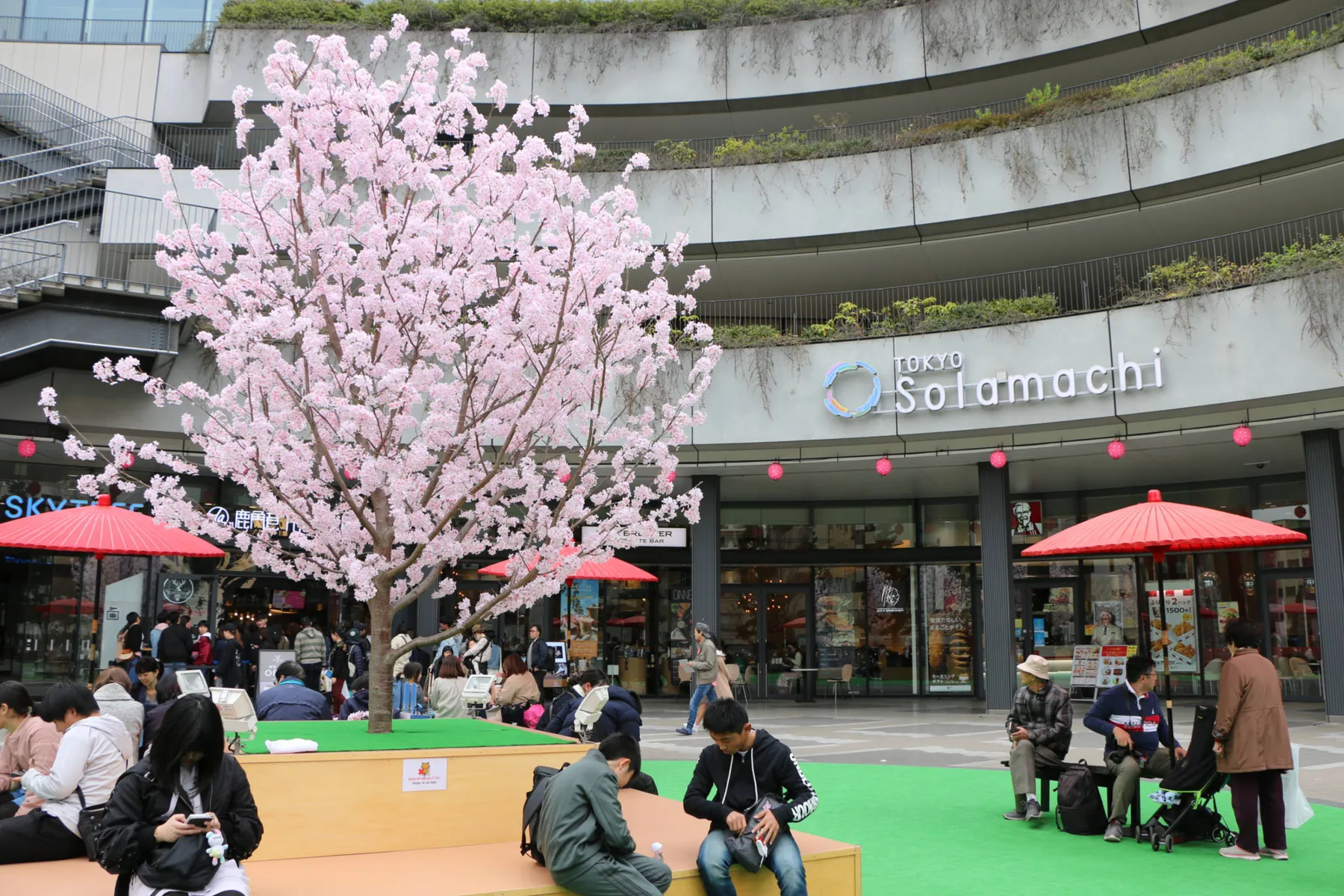 東京スカイツリータウン(R)の春イベント_1