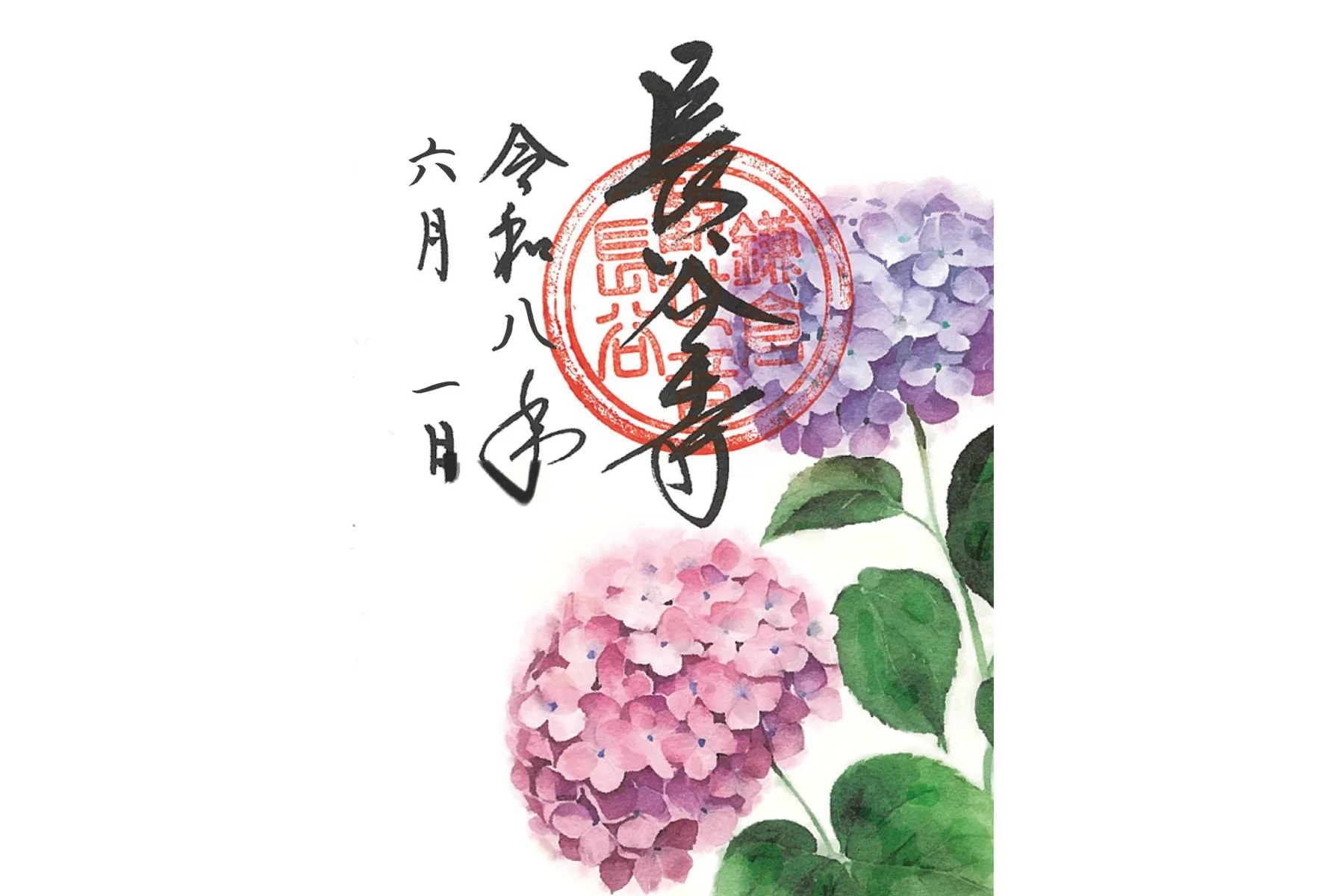 鎌倉長谷寺のあじさい路_20
