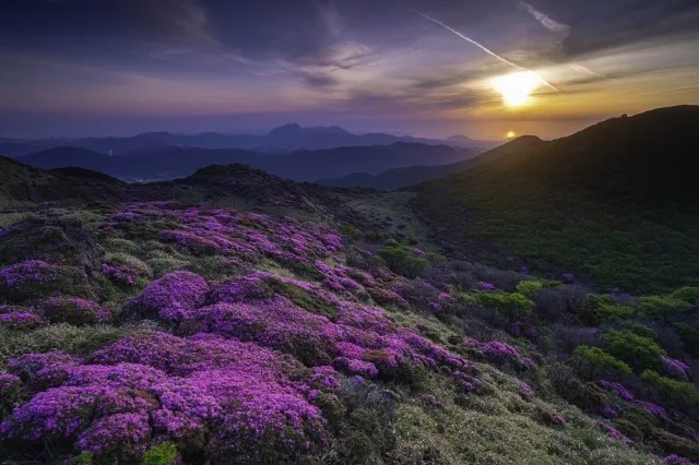 山に魅せられて
