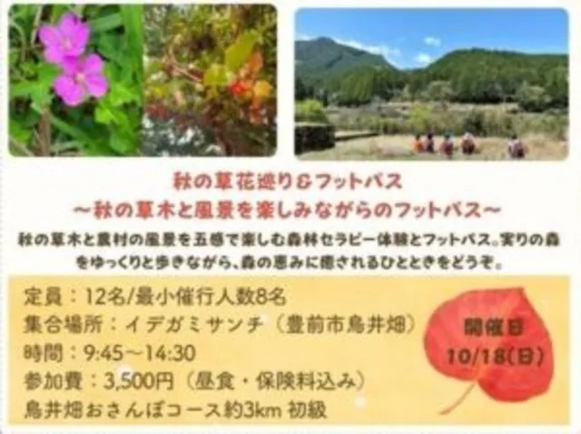 2026秋森林セラピー体験　秋の草花巡り＆フットパス～秋の草木と風景を楽しみながらのフットパス～