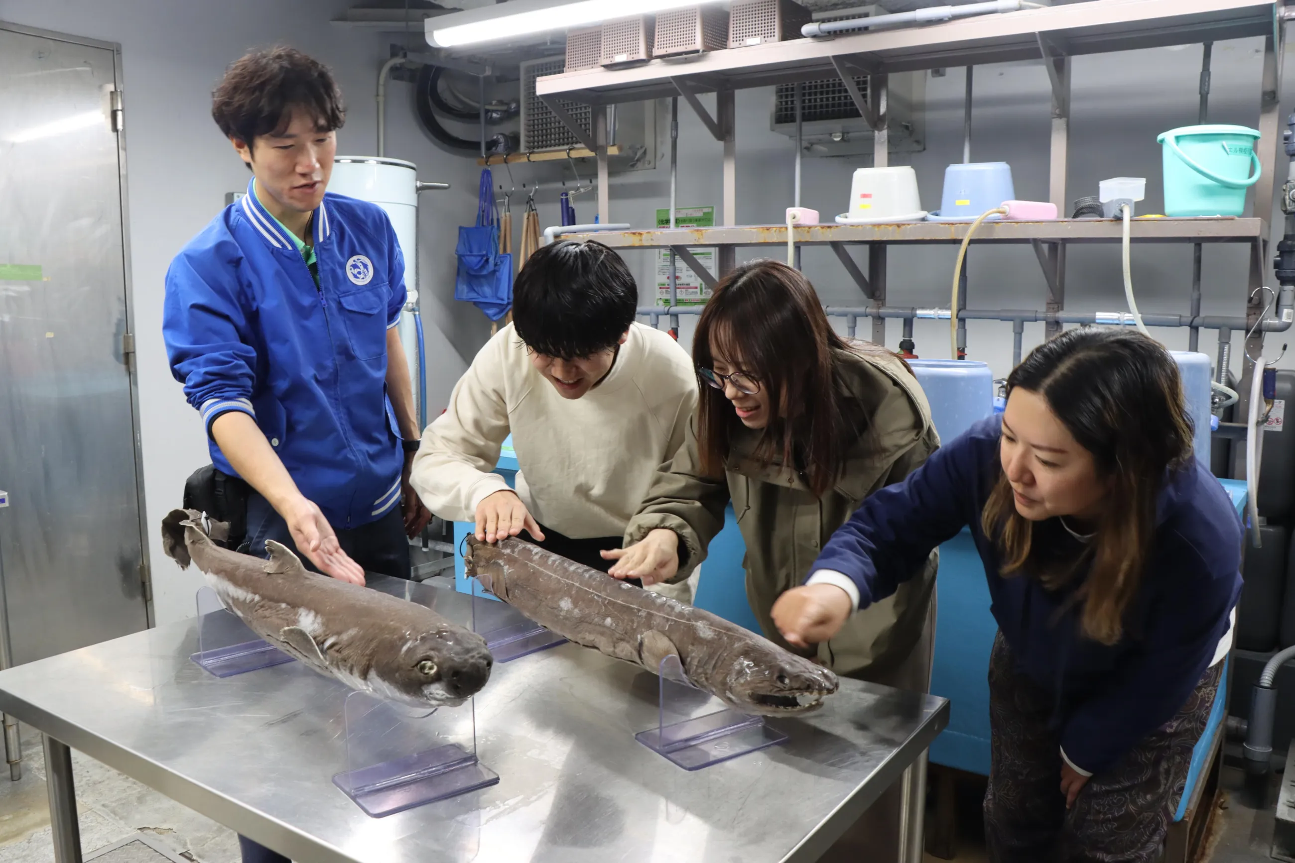 ゾクゾク深海生物2026 これまでの歩み