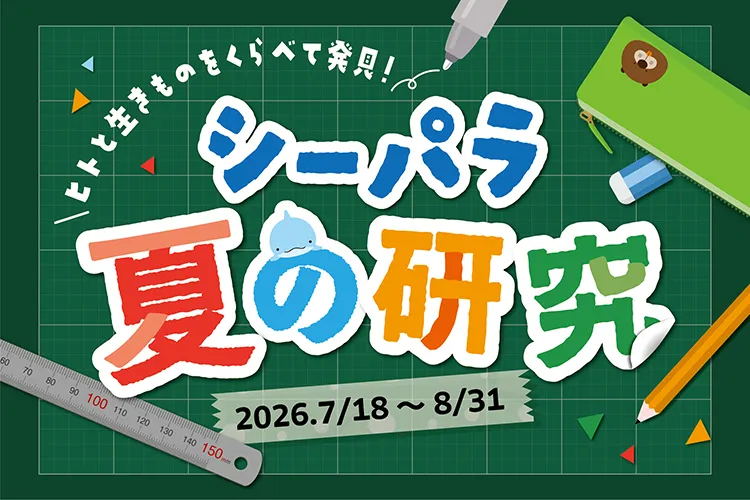 シーパラ夏の研究