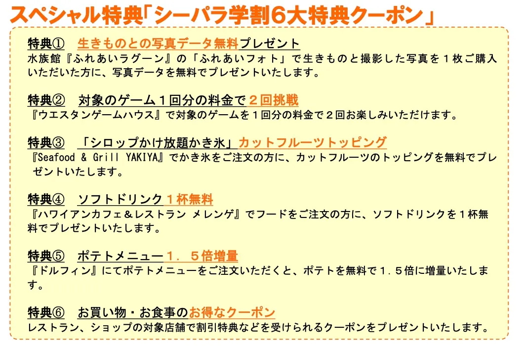 シーパラ夏の研究_16