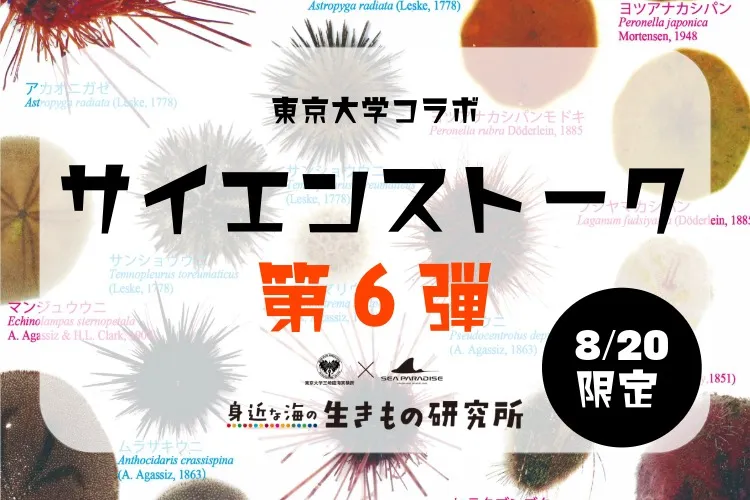 シーパラ夏の研究_3