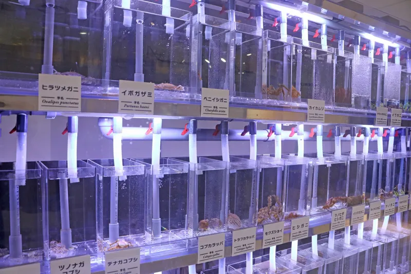 身近な海の生きものたちをもっと知ろう！ 「身近な海の生きものレクチャータイム」