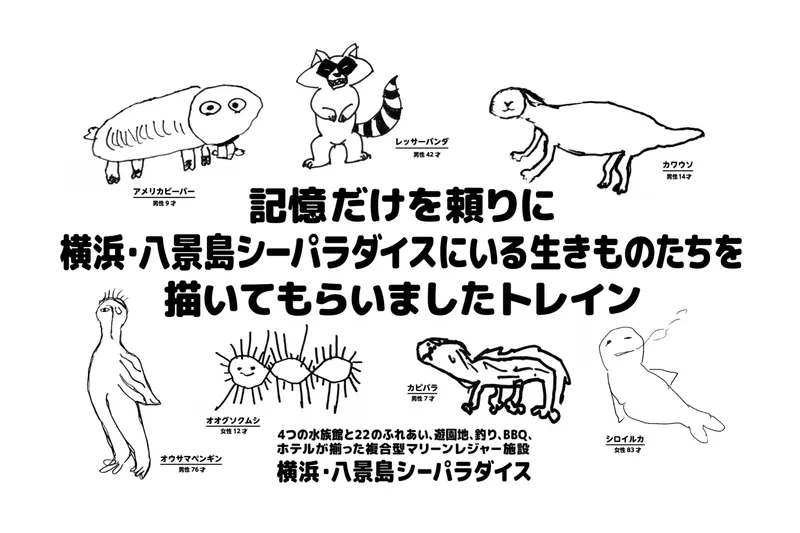 前回反響だった企画が復活！記憶だけを頼りに生きものを描こう！ 「記憶スケッチ」