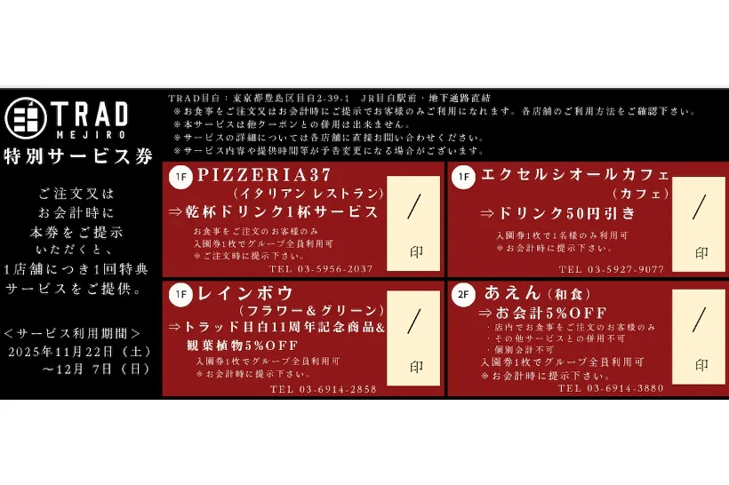 秋の庭園ライトアップ『TERASU』_10
