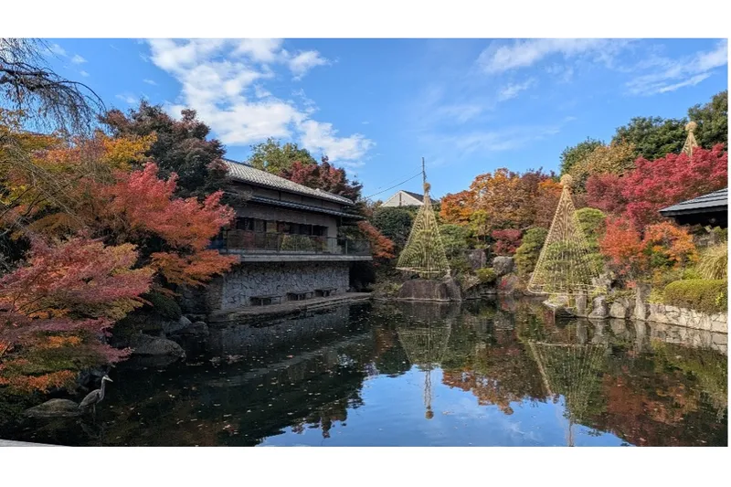 秋の庭園ライトアップ『TERASU』_2