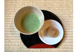 秋の庭園ライトアップ『TERASU』_5