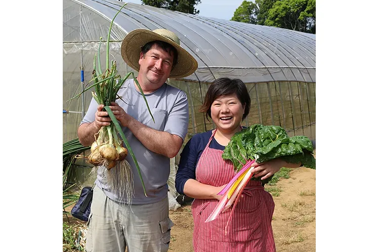 「ハイヴ&バロウ」野菜／惣菜 当日のお楽しみ