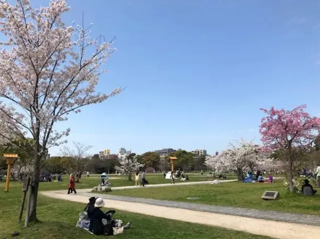 第3回 ロハスパーク福岡@舞鶴公園