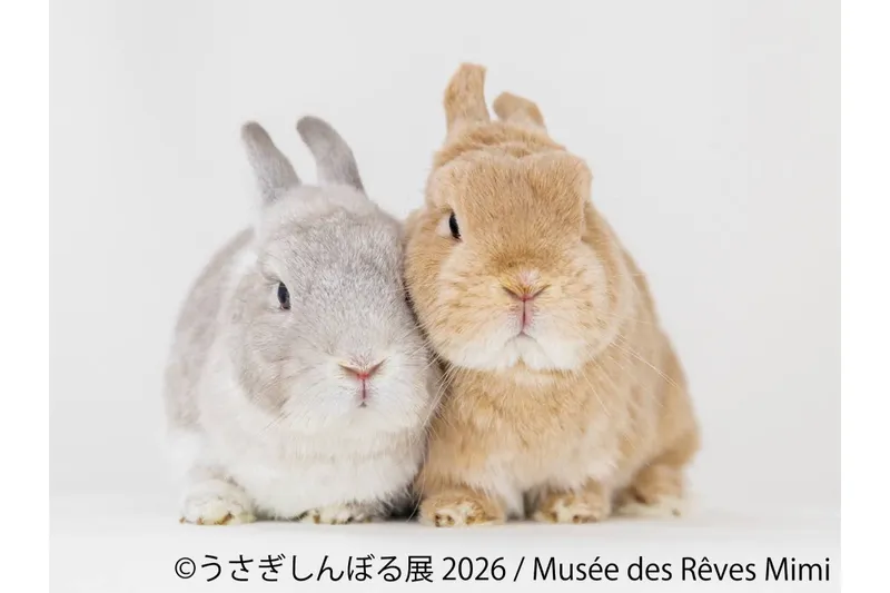 うさぎの合同写真展＆物販展「うさぎしんぼる展 2026」
