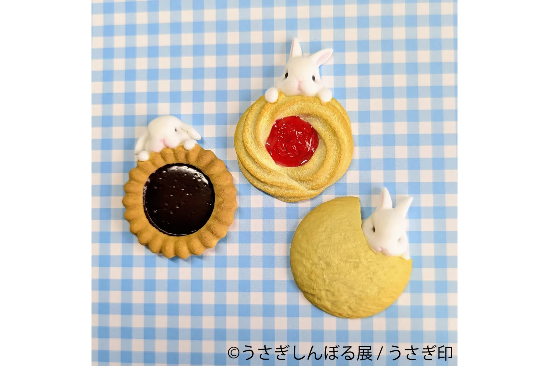 うさぎの合同写真展＆物販展「うさぎしんぼる展 2026」_15