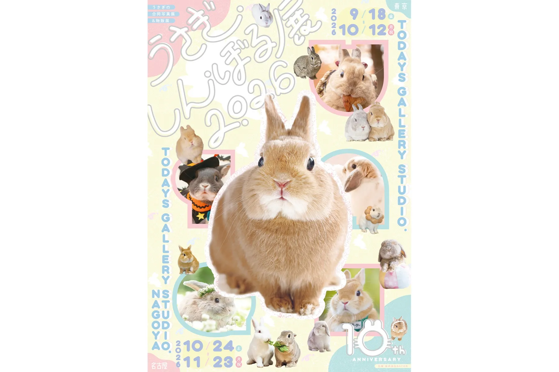うさぎの合同写真展＆物販展「うさぎしんぼる展 2026」_19