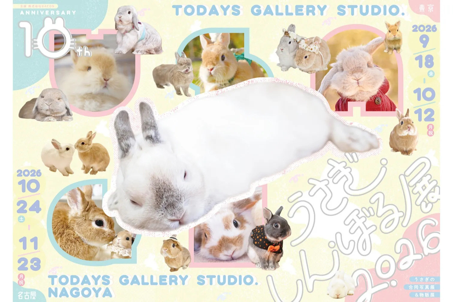 うさぎの合同写真展＆物販展「うさぎしんぼる展 2026」_20