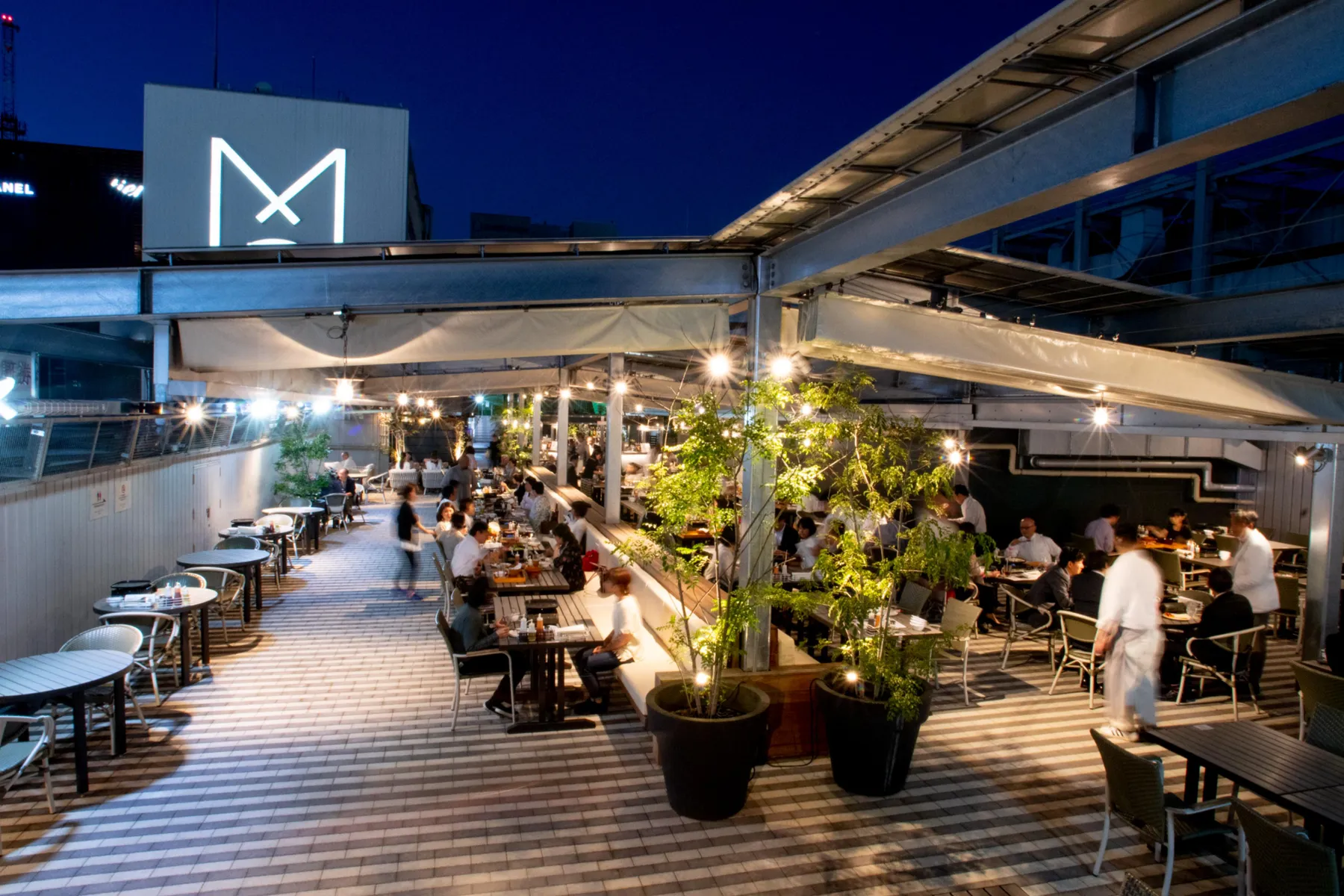 美しくなるビアガーデン_1