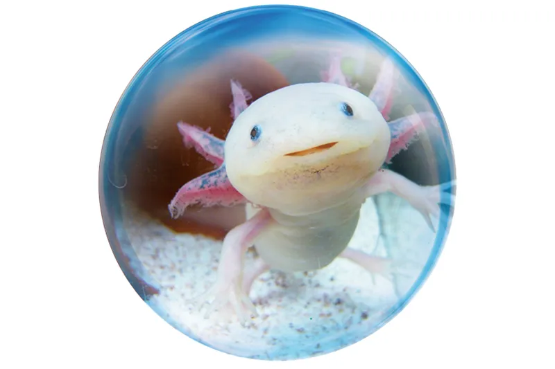 たのしさ爆烈！！水族園_2