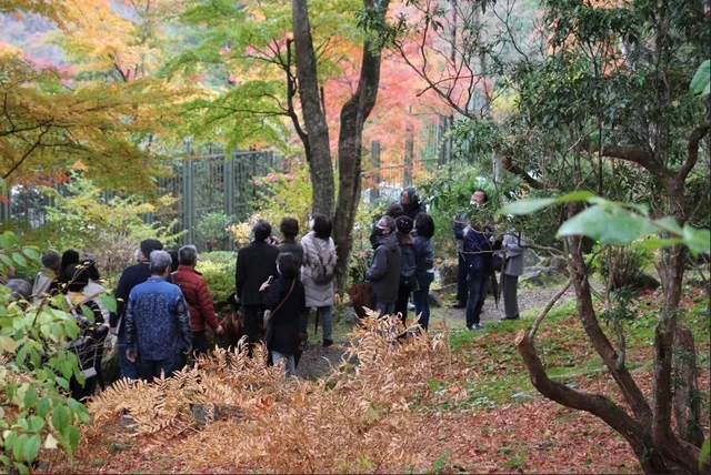 庭園貸切！ 秋の庭園散策ガイド