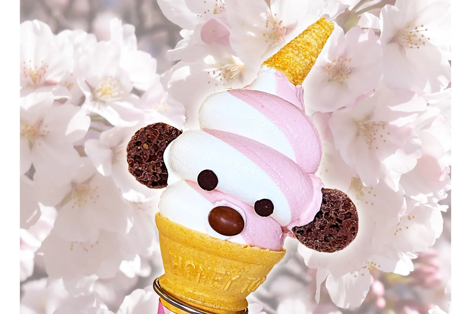 アイスランドポピーの見ごろ_9