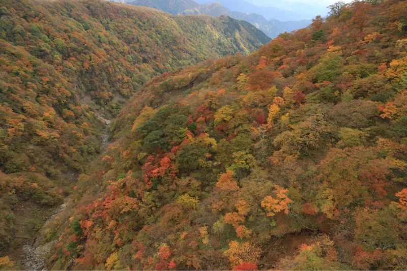 六方沢の紅葉情報_2