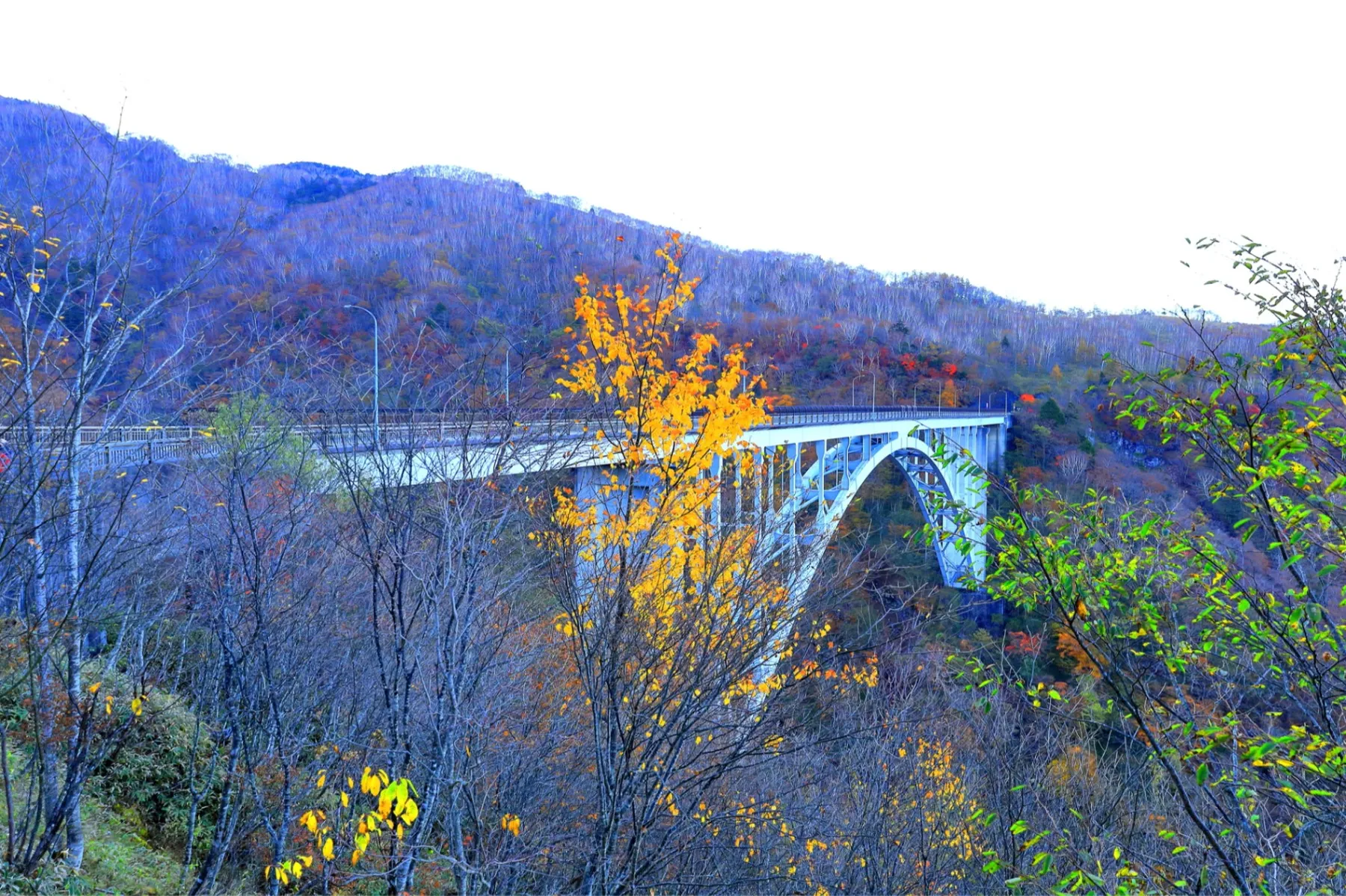 六方沢の紅葉情報_3