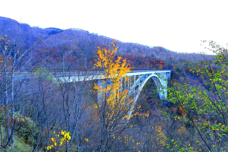 六方沢の紅葉情報_3