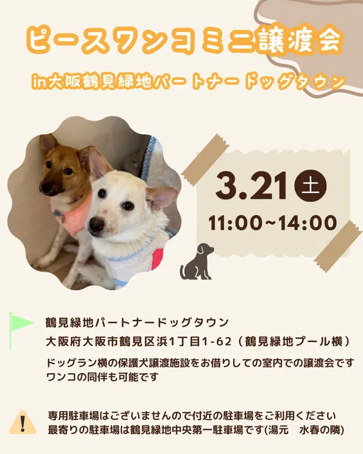 ミニ譲渡会in大阪鶴見緑地パートナードッグタウン