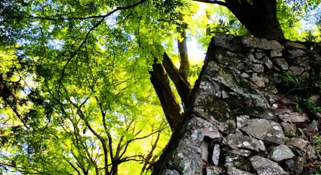高取歴史講座 豊臣秀長と高取