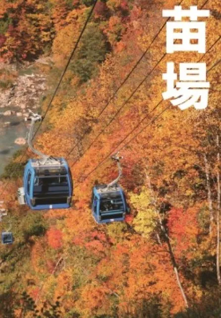 【紅葉・見ごろ】苗場ドラゴンドラ