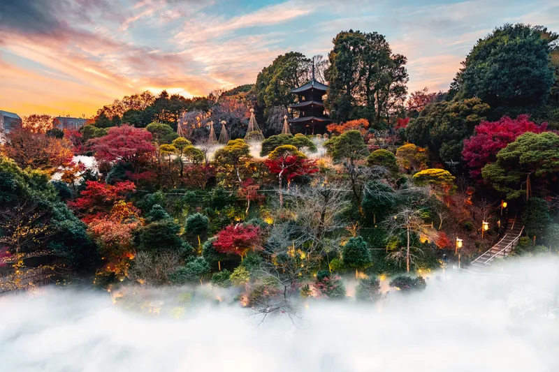 香る、東京雲海　昼
