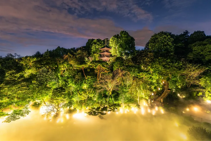 香る、東京雲海　夜
