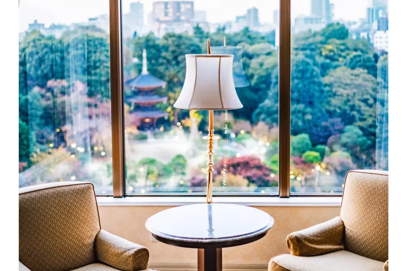 客室からの眺望