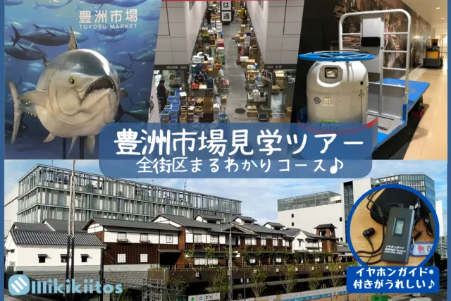 豊洲市場見学ツアー 全街区まるわかりコース（3月）