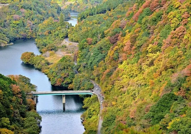 【紅葉・見ごろ】香落渓