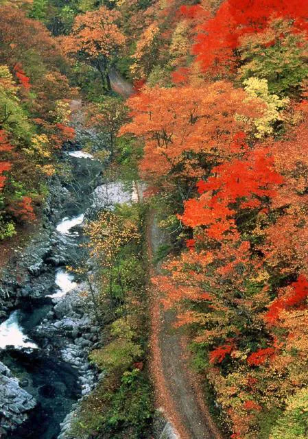【紅葉・見ごろ】磐梯吾妻レークライン