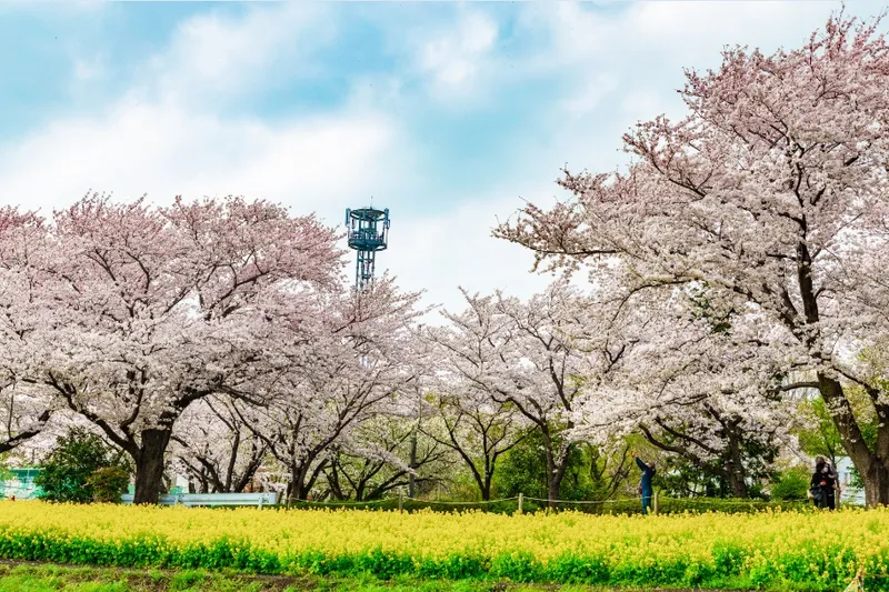 尾根緑道