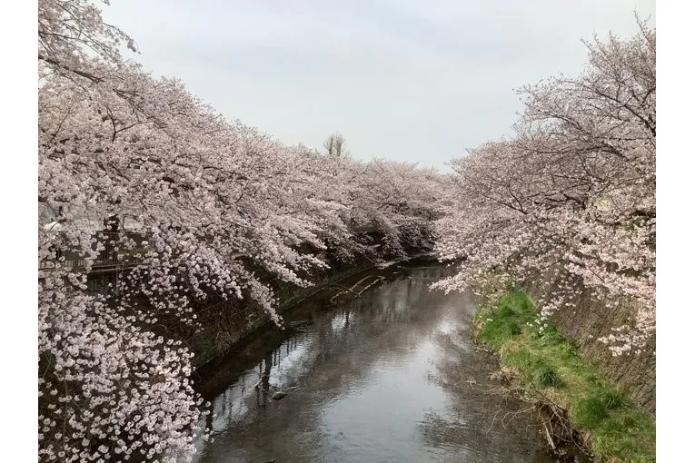 恩田川会場