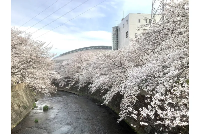 恩田川会場