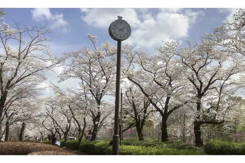 尾根緑道会場