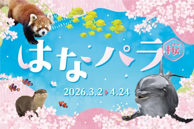 はなパラ_1