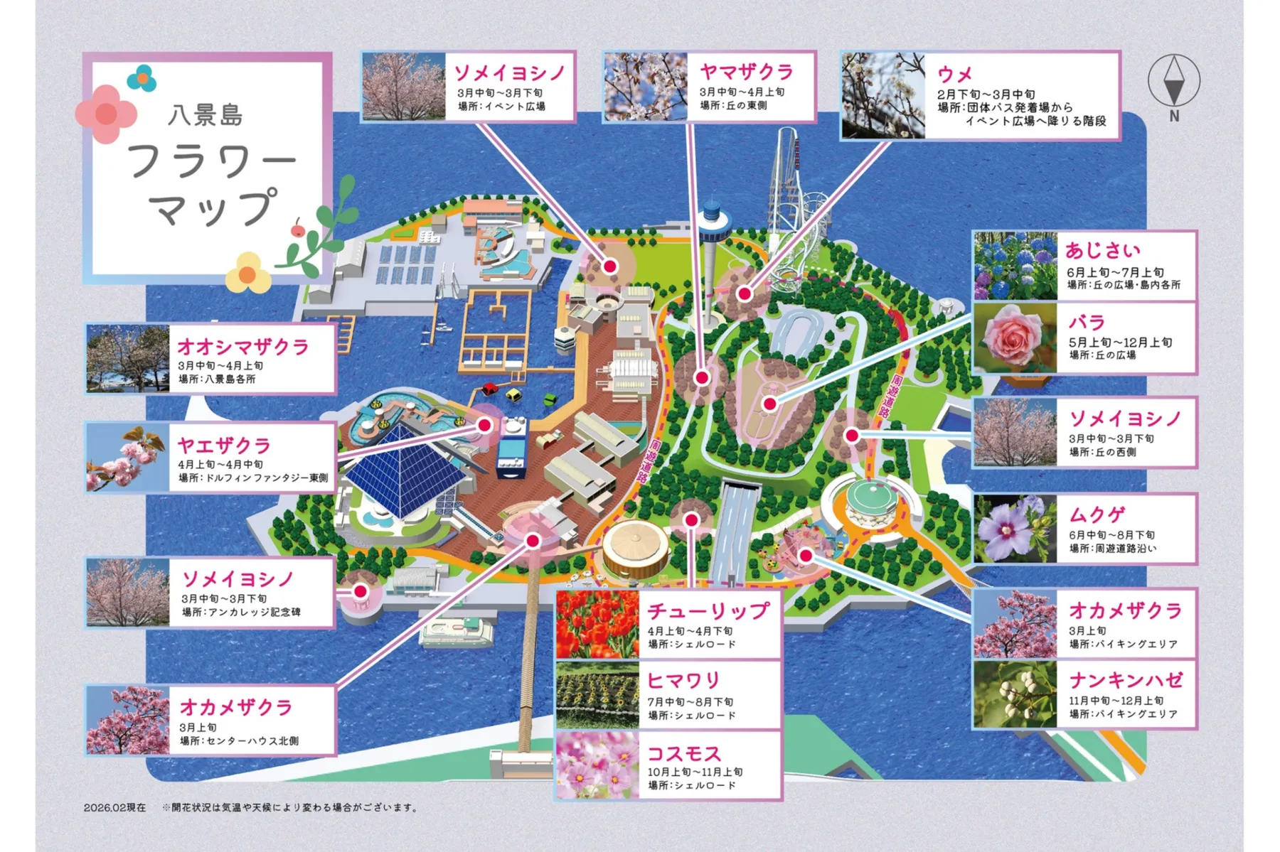 はなパラ_10