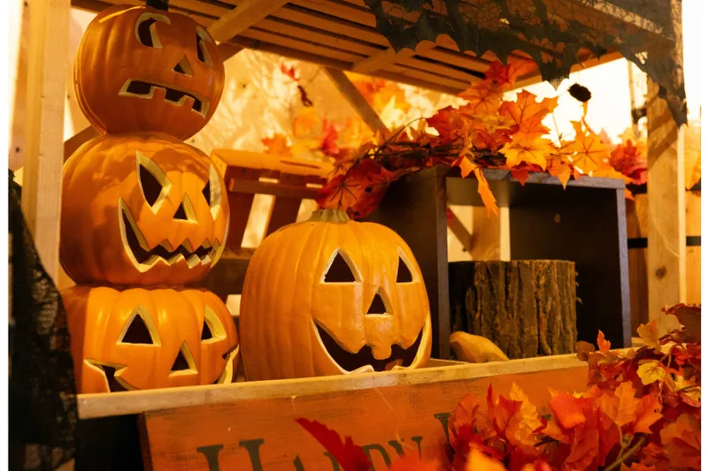 ハレニワdeハロウィン_5