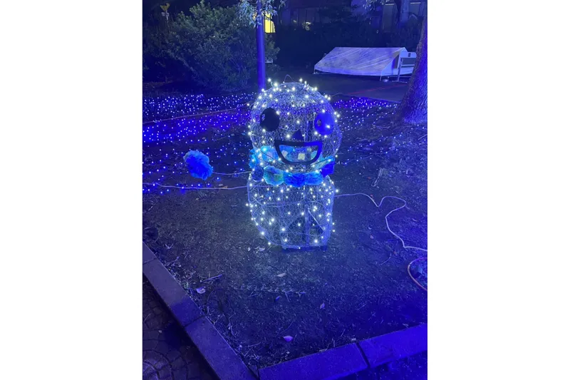 埼玉大学イルミネーション_2