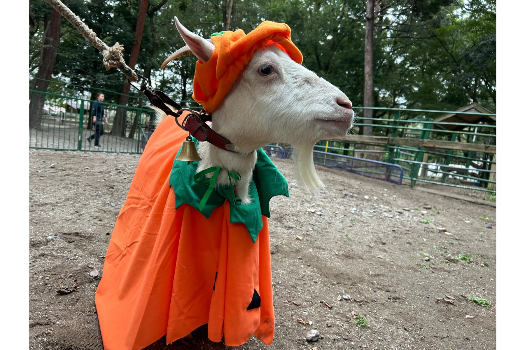 むさしの村deハロウィン_2