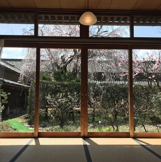 江戸桜貸し切り！お花見ランチプラン