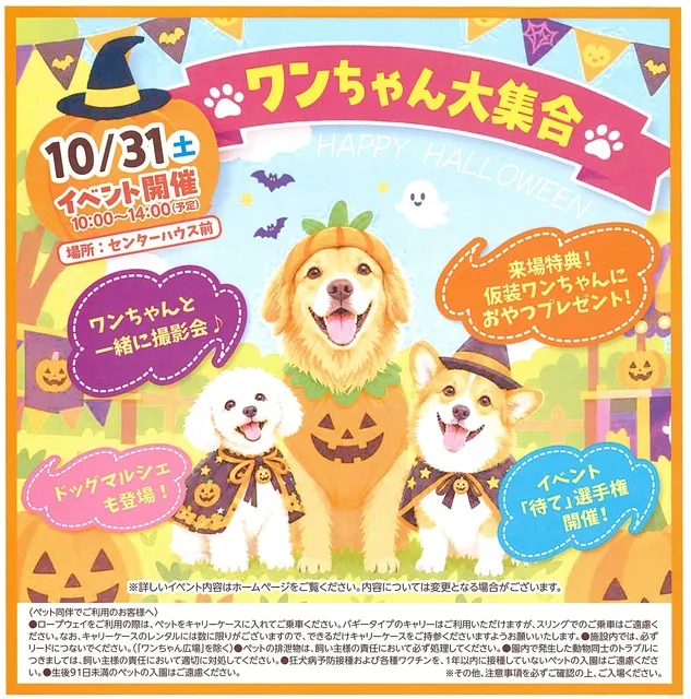 ヘブンスそのはら　ワンちゃん大集合