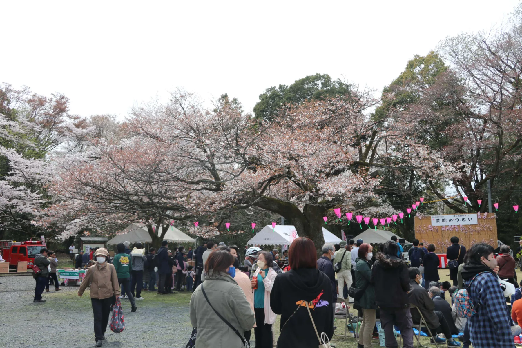 第60回滝山城跡桜まつり_4