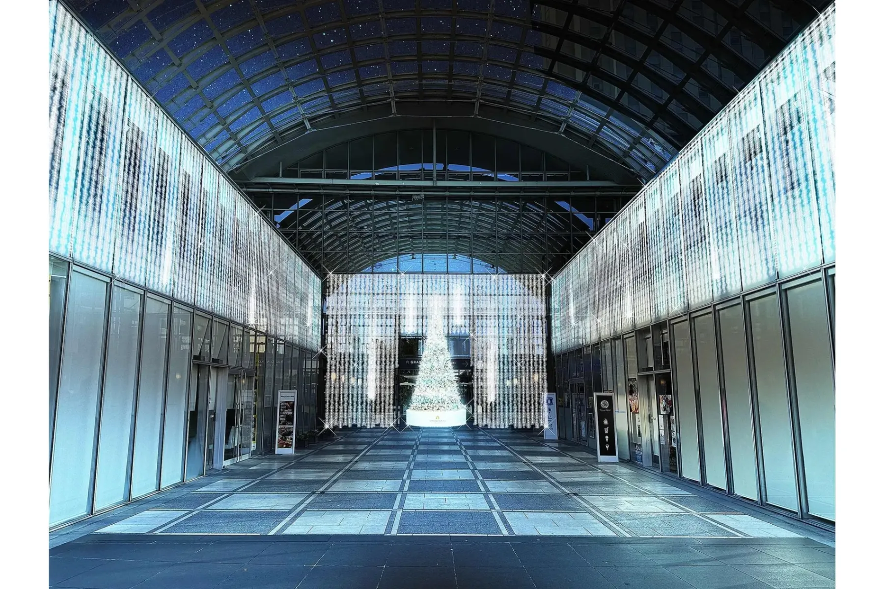 『イルミネーションアイランドお台場 2024』~ツナゲルアカリ~ _8